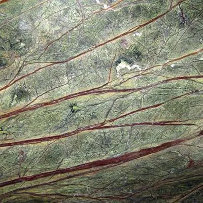 rainforestgreen