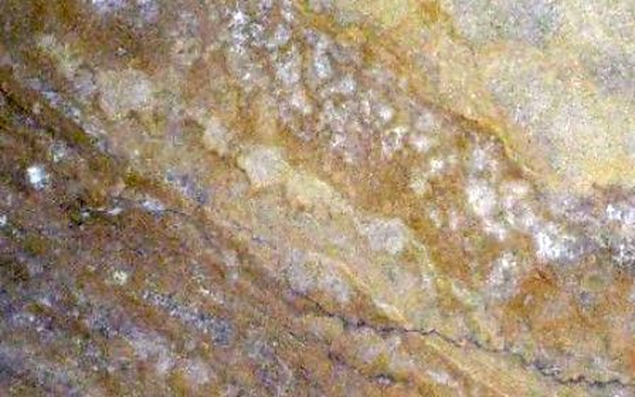 Close-up of gold granite with natural veining and shimmering mineral details.